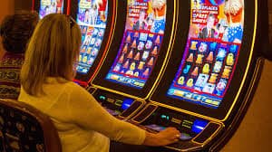 baazi casino