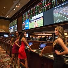 baazi casino